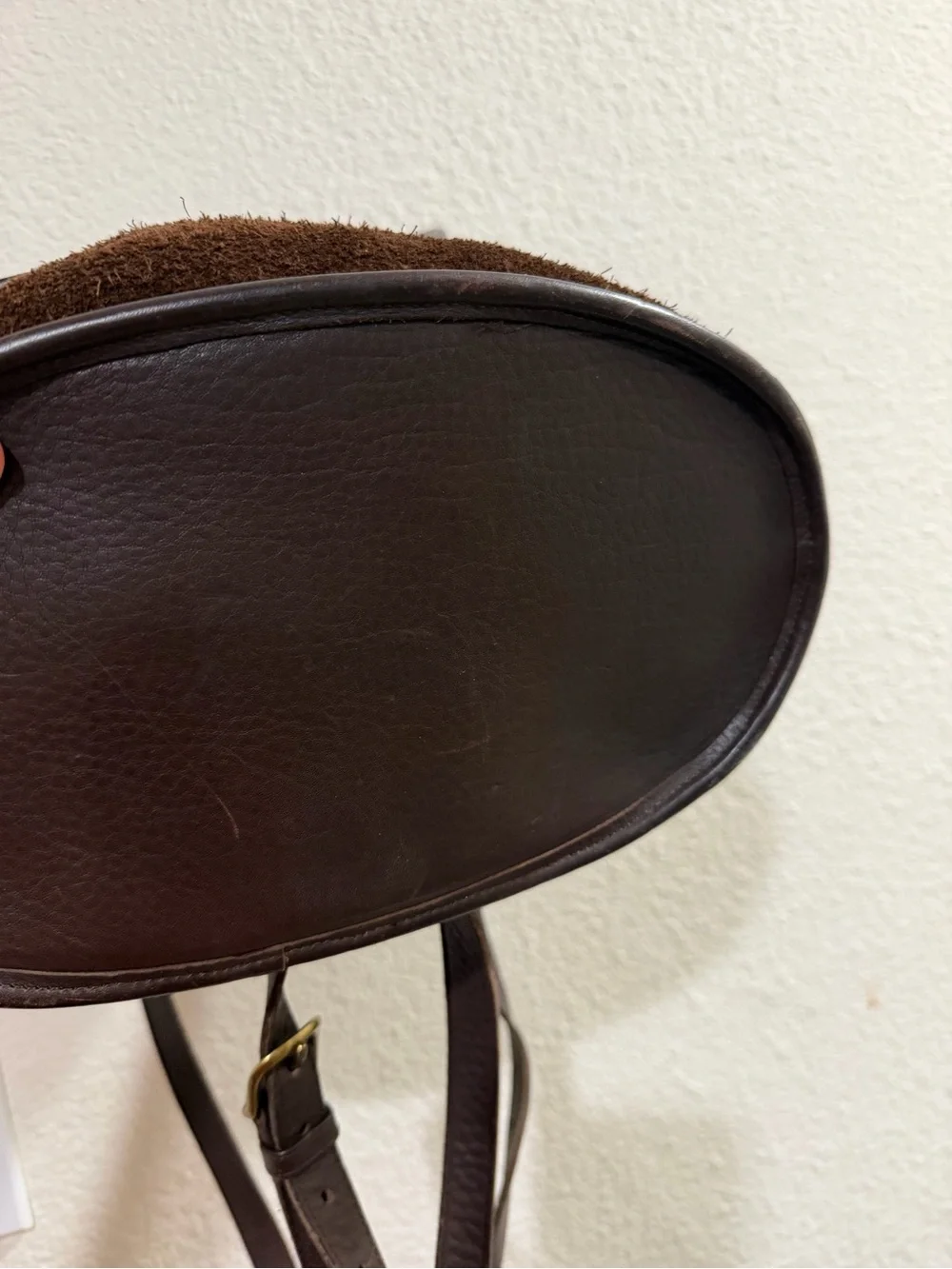 Coach Men's Brown Suede Backpack with Dark Brown Leather Flap